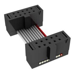 10 Position Cable Assembly Rectangular Socket to Socket 0.833' (254.00mm, 10.00