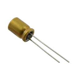 10 µF 100 V Aluminum Electrolytic Capacitors Radial, Can 1000 Hrs @ 85°C - 1