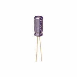 100 µF 16 V Aluminum Electrolytic Capacitors Radial, Can 2000 Hrs @ 85°C - Panasonic Electronic Components (1)