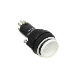 Pushbutton Switch DPST-NO/NC Standard Panel Mount, Front - EAO