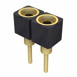 2 Position Receptacle Connector 0.100