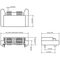 40 Position Female Connector Non Specified - Dual Edge Gold 0.031