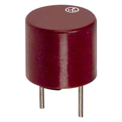 80mA 250V AC DC Fuse Board Mount Through Hole Radial - 1