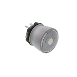 Pushbutton Switch - 1