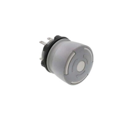 Pushbutton Switch - 1