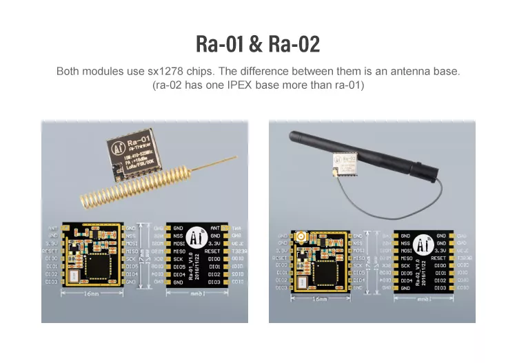 Ra-01_5