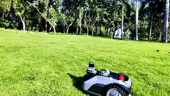 Lawn Mowers 1