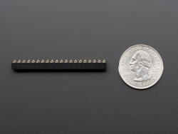 Adafruit 2187 - SMT GPIO Header for Raspberry Pi HAT - 2x20 Short Female Header - Adafruit Industries LLC (1)