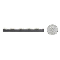36 Position Header Connector 0.100