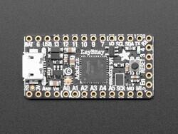 Adafruit 3800 - ItsyBitsy M4 Express featuring ATSAMD51 - Adafruit Industries LLC (1)