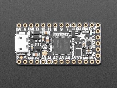 Adafruit 3800 - ItsyBitsy M4 Express featuring ATSAMD51 - 2
