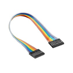 Jumper Cable - 20cm - 2.54mm 0.1