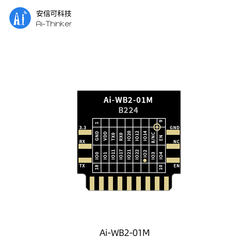 Ai-WB2-01M - Wi-Fi&BT module with BL602 chip - DIP-18 - Version V1.0.1 - 2