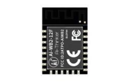 Ai-WB2-12F - Wi-Fi & BT Module with BL602 chip - SMD-22 - Version V1.1.0 - Ai-Thinker