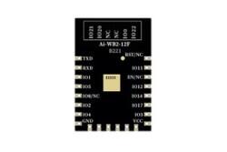 Ai-WB2-12F - Wi-Fi & BT Module with BL602 chip - SMD-22 - Version V1.1.0 - Ai-Thinker (1)