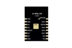 Ai-WB2-12S - Wi-Fi&BT module with BL602 chip - SMD-16 - Version V1.1.1 - Ai-Thinker (1)