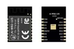 Ai-WB2-12S - Wi-Fi&BT module with BL602 chip - SMD-16 - Version V1.1.1 - 5