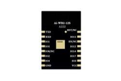Ai-WB2-12S - Wi-Fi&BT module with BL602 chip - SMD-16 - Version V1.1.1 - 2