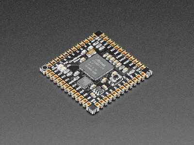 ATSAMD51J19 - series ARM® Cortex®-M4 MCU 32-Bit Embedded Evaluation Board - 1