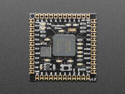 ATSAMD51J19 - series ARM® Cortex®-M4 MCU 32-Bit Embedded Evaluation Board - 2