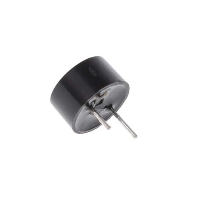 Buzzers Indicator, Internally Driven Magnetic 5 V 30mA 2.7kHz 85dB @ 5V, 10cm Through Hole PC Pins - 1