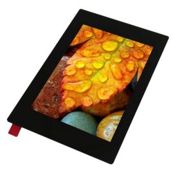 Capacitive Graphic LCD Display Module Transmissive Red, Green, Blue (RGB) TFT - Color, IPS (In-Plane Switching) I2C, Parallel, 8/16-Bit (RGB), 18-Bit (RGB), SPI 3.5