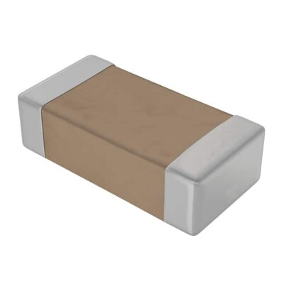 100 µF ±20% 10V Ceramic Capacitor X5R 1206 (3216 Metric) - 1