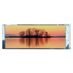 Graphic LCD Display Module Transmissive Red, Green, Blue (RGB) TFT - Color MIPI 6.9