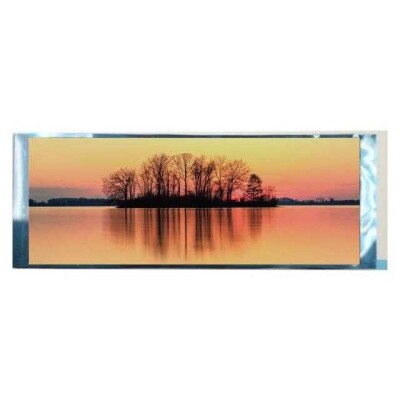 Graphic LCD Display Module Transmissive Red, Green, Blue (RGB) TFT - Color MIPI 6.9