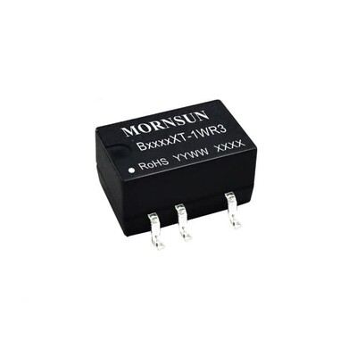 Isolated Module DC DC Converter 1 Output 3.3V 303mA 2.97V - 3.63V Input - 1
