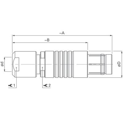 Locking Plug - Standars Core Series Brass - 2