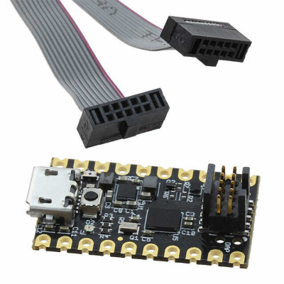 MAX32625 DARWIN ARM® Cortex®-M4 MCU 32-Bit Embedded Evaluation Board - 1