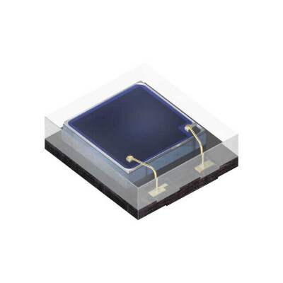 Photodiode 920nm 70ns, 80ns 130° 2-SMD, No Lead - 1