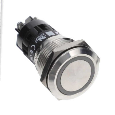 Pushbutton Switch SPDT Standard, Illuminated Panel Mount, Front - 1