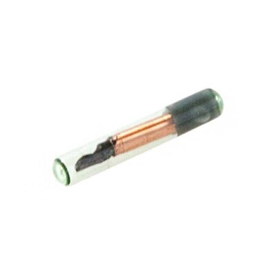 RFID Tag Read Only Memory 125kHz Glass Encapsulated - 1