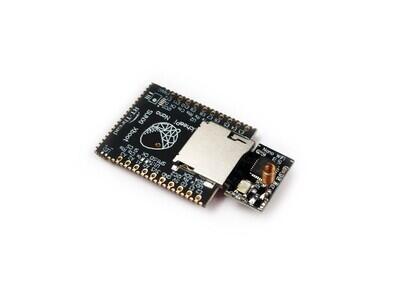 Sipeed Lichee Nano 16M + WiFi - ARM9 MPU Eval Board - 2