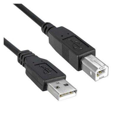 USB 2.0 Cable A Male to B Male 6.00' (1.83m) Shielded - 1
